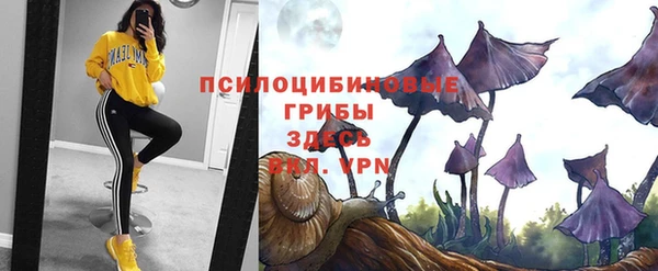 бутират Зеленокумск